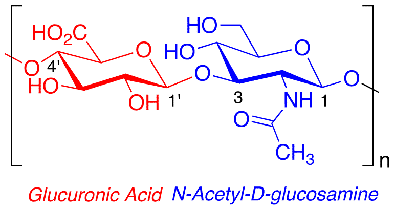 Estructura química del ácido hialurónico