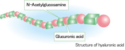 Estructura simplificada del ácido hialurónico