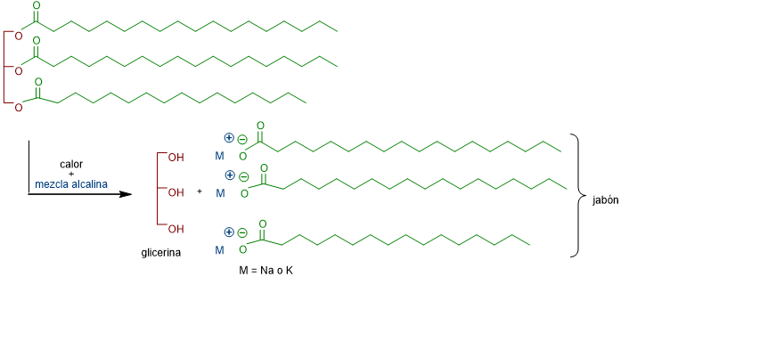 Reacción entre un triglicérido y un álcali