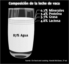 Composición química de la leche emulsión