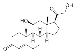 Molécula de corticoesterona