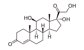 Molécula de hidrocortisona