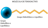 Molécula con parte hidrófila y parte lipófila emulgentes