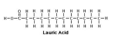 Ácido láurico, componente principal del aceite de coco
