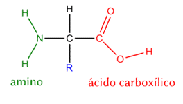 Estructura química de un aminoácido