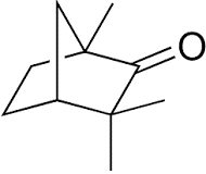 Componente del aceite esencial de hinojo, la fenchona