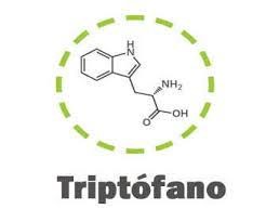 Molécula de triptófano