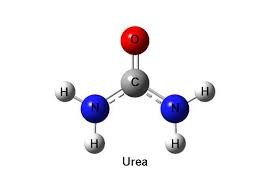 Estructura química de la urea