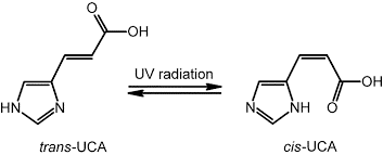 Isomerización de trans-UCA a cis-UCA