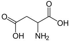 Estructura del ácido aspártico