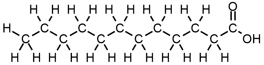 Estructura química del ácido láurico, componente principal del aceite de coco