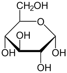 Glucosa, monómero de polisacáridos