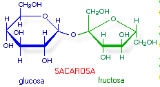 La sacarosa está compuesta por glucosa y fructosa