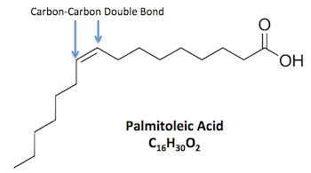 Estructura química del ácido palmitoleico