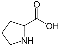 Estructura química de la prolina, aminoácido de la elastina