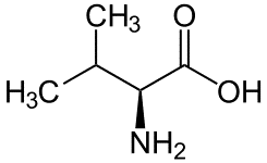 Estructura química de la valina, aminoácido de la elastina