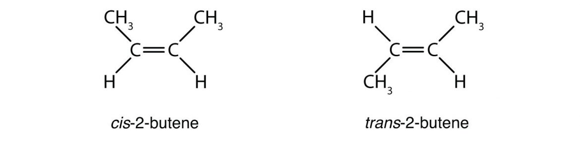¿Qué significa ácidos grasos saturados e insaturados? -Oushia-