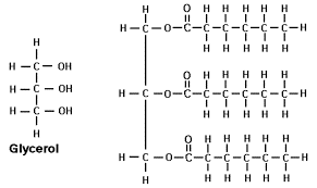 Reacción de la glicerina con 3 ácidos grasos