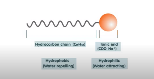 Estructura de una molécula de detergente